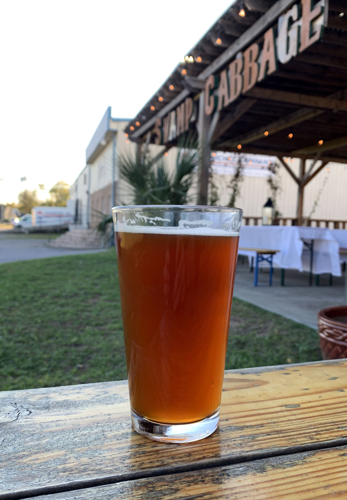 Swamp Cabbage Dunkelweizen